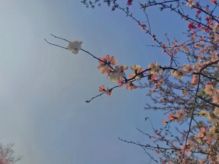 微信圖片_20220309114933.jpg